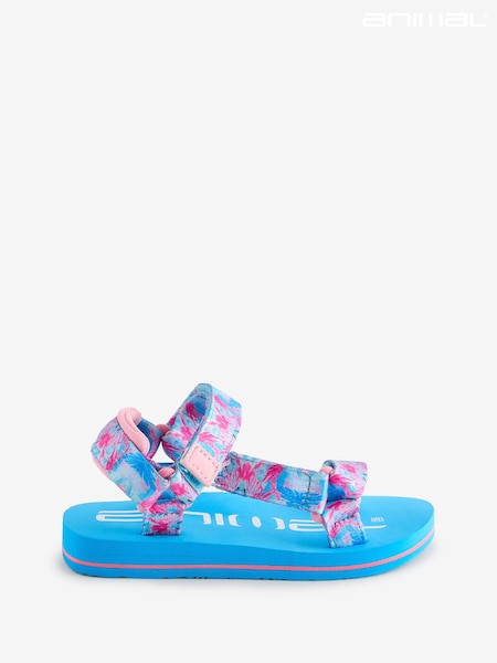 Animal Kids Drift Sandals (E07763) | 109 LEI