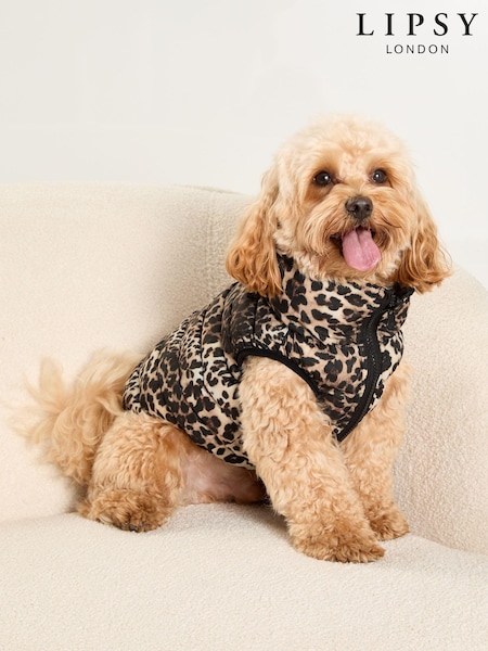 Lipsy Black Reversible Dog Padded Jacket (E10646) | €10 - €13