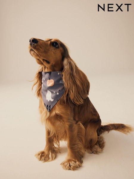 Harmaa - Matching Family Halloween Pet Bandana (E12162) | €8