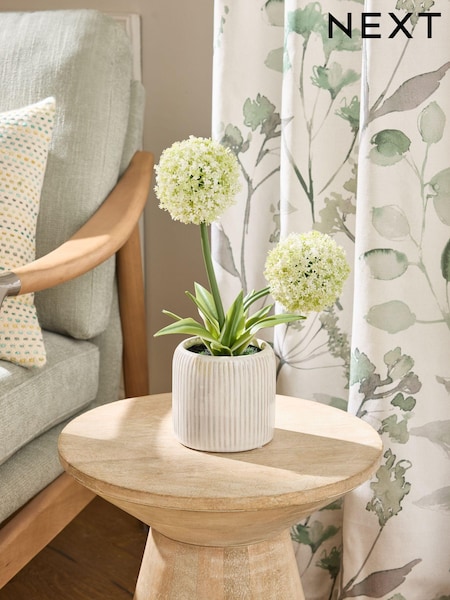 White Artificial Allium Plant In Ribbed Ceramic Pot (E14371) | AED93