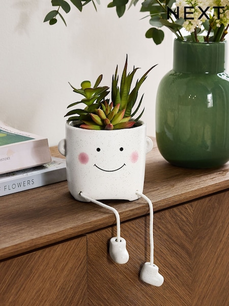 Green Artificial Succulents In Smiley Dangly Leg Ceramic Pot (E14380) | €28