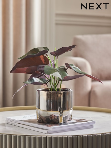 Silver Artificial Variegated Plant in Chrome Pot (E14538) | €27