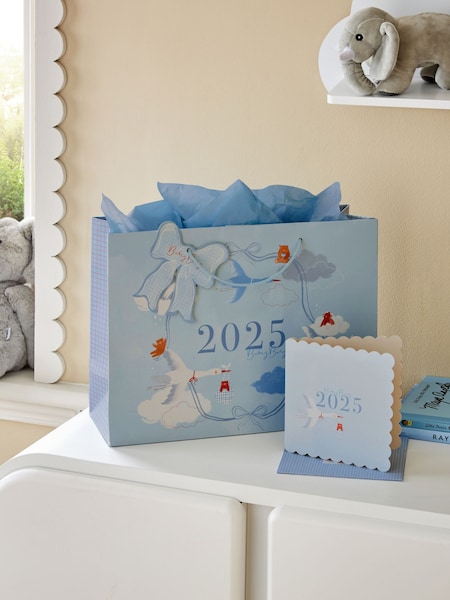 Baby Boy Born In 2025 Gift Bag and Card Set (E14955) | 156 грн