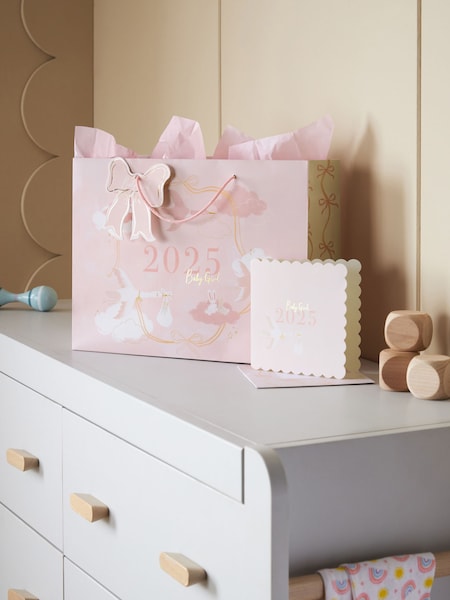 Baby Girl Born In 2025 Gift Bag and Card Set (E14965) | 156 грн