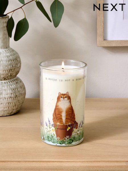 Orange Tiggy the Cat White Jasmine Pillar Candle (E18610) | €13