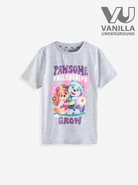 Vanilla Underground Grey Paw Patrol Boys Licensed T-Shirt (E24028) | €19