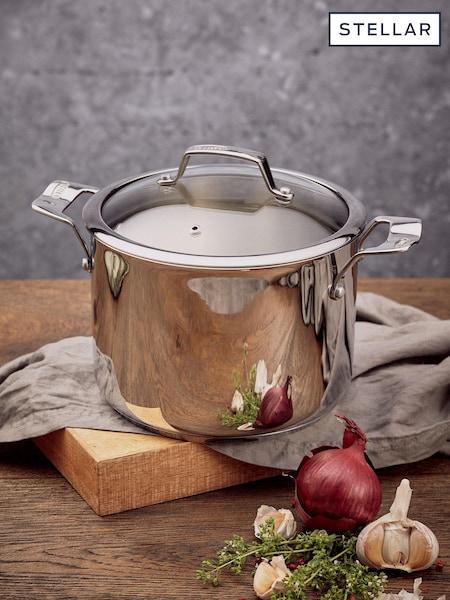 Stellar 22cm Stockpot 5L (E24072) | €95