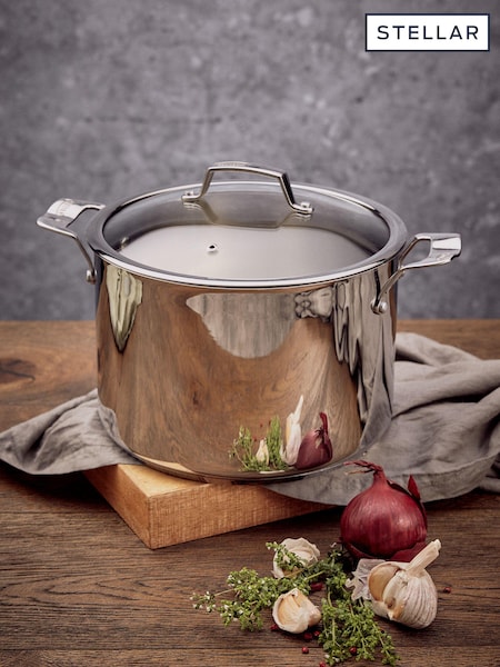 Stellar 26cm Stockpot 8L (E24083) | €108