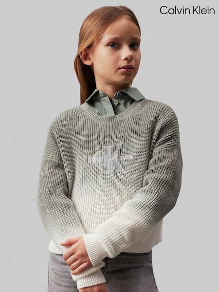 Calvin Klein Monogram Gradient Jumper (E24533) | 333 LEI