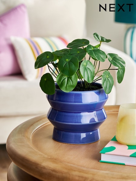 Green Artificial Money Tree Plant In Blue Ceramic Pot (E27104) | €46