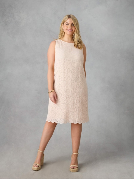 Live Unlimited Curve Lace Shift Dress (E30338) | €65