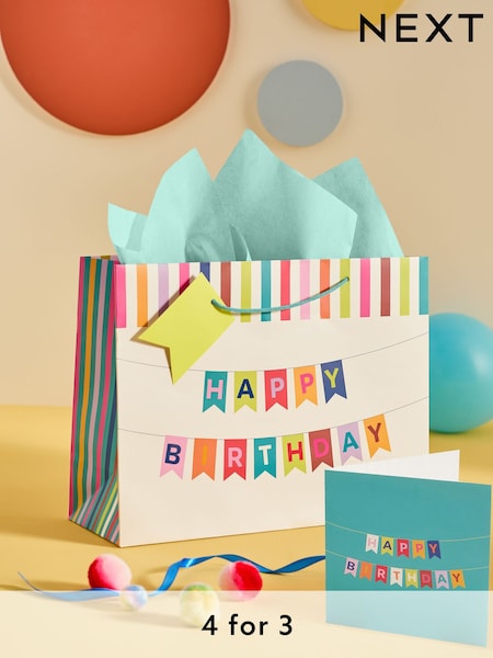 Teal Blue Bright Bunting Birthday Gift Bag and Card Set (E32386) | €5