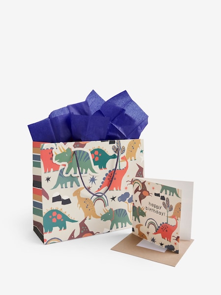 Medium Dinosaur Gift Bag and Card Set (E32461) | 6 €