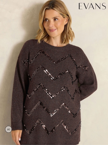 Brown - Evans Zig-zag Sequin Embellished Jumper