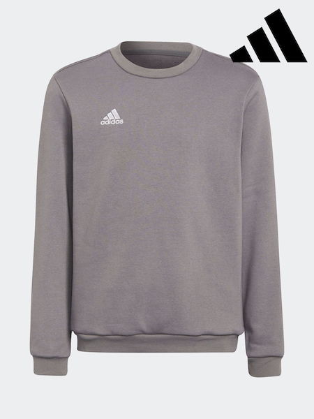 Grau - adidas Entrada 22 Sweatshirt (E36076) | 47 €