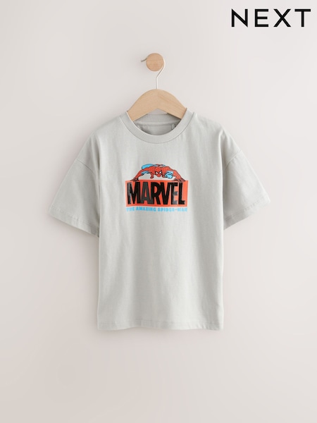 Stone Spiderman Marvel 100% Cotton T-Shirt (3-16yrs) (E38386) | €21 - €25