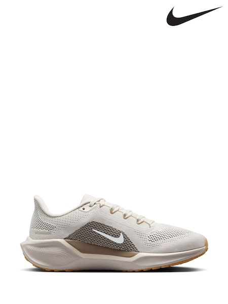 Nike Neutral Pegasus 41 Road Running Trainers (E38914) | €165
