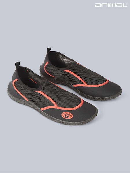 Animal Black Cove Aqua Shoes (E42621) | $65