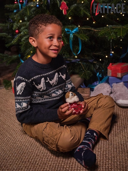 FatFace Navy Shelter Wilson the Whale Jumper (E46976) | €23.50