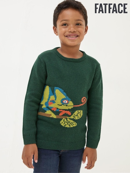 FatFace Green Chameleon Jumper (E50320) | €21