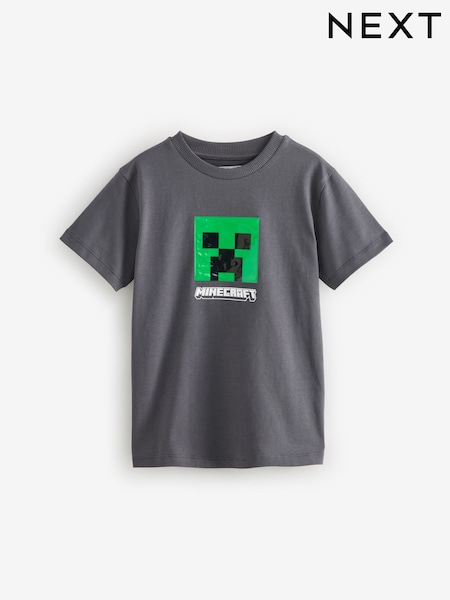 Grey Licensed Minecraft T-Shirt (3-16yrs) (E51083) | €16 - €18