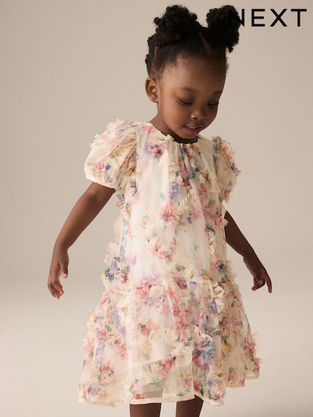 Multi Floral Mesh Party Dress (3mths-7yrs) (E54788) | $28 - $34