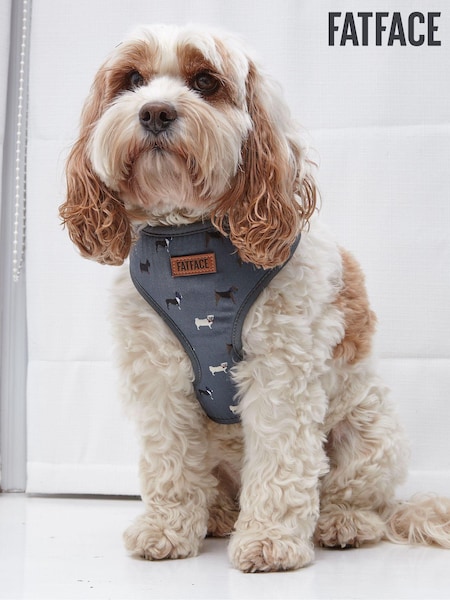 FatFace Harness (E60282) | €27