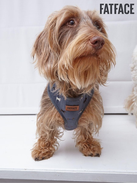 FatFace Harness (E60292) | €24