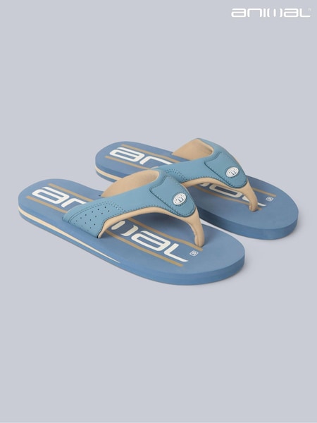 Animal Pale Blue Mens Jekyl Flip Flops (E60663) | AED89