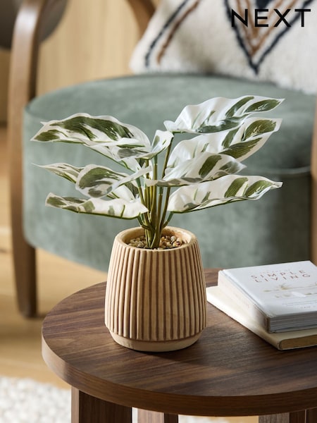 Green/White Artificial Variagated Plant In Striped Ceramic pot (E62893) | SGD 34