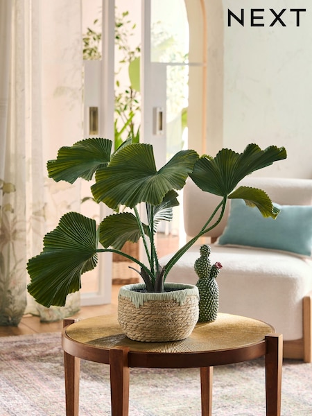 Green Artificial Palm Plant In Woven Basket (E62899) | LEI 479