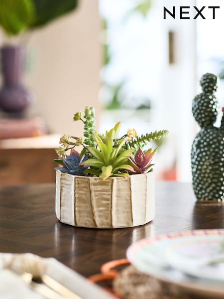 Green Artificial Succulent Garden In A Ceramic Bowl (E62900) | €33
