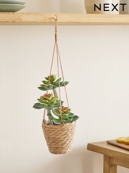 Green Artificial Succulents In A Hanging Woven Planter (E62906) | €26