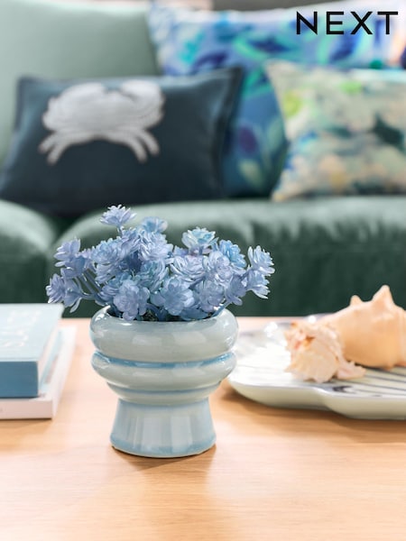 Blue Succulent Plant In Mini Ceramic Vase (E63461) | AED65