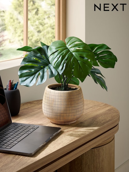 Green Artificial Monstera Plant In Natural Ceramic Vase (E63462) | AED222
