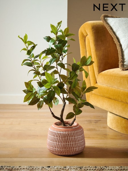 Green Artificial Tree in Terracotta Pot (E63467) | AED347