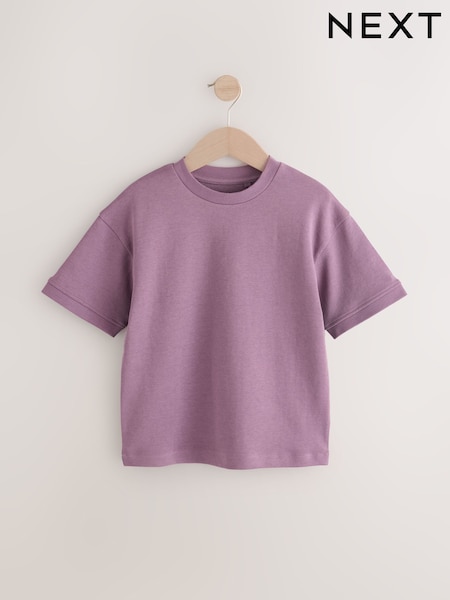 Plum Purple Relaxed Fit Heavyweight T-Shirt (3-16yrs) (E66274) | €9 - €17