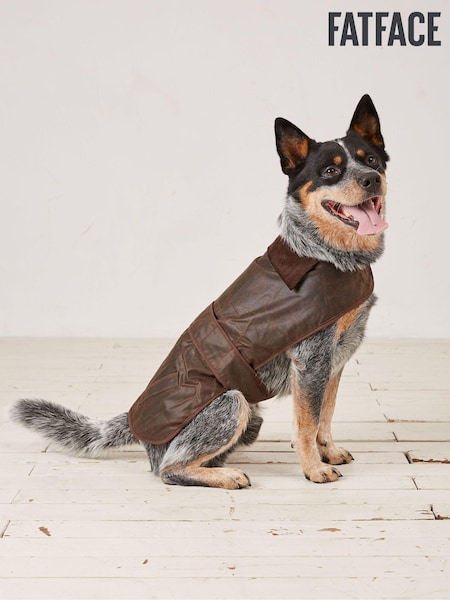 FatFace Brown Sussex Dog Coat (E70693) | ₪211