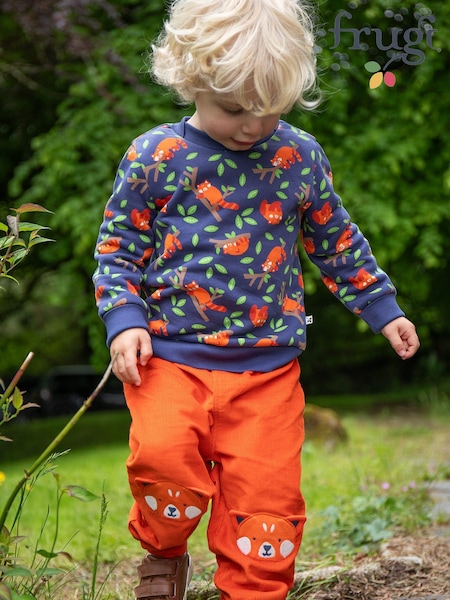 Frugi Blue Easy On Printed Jumper (E74413) | R$ 295 - R$ 335
