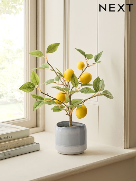 Artificial Lemon Tree In Blue Ceramic Pot (E74751) | 38 €