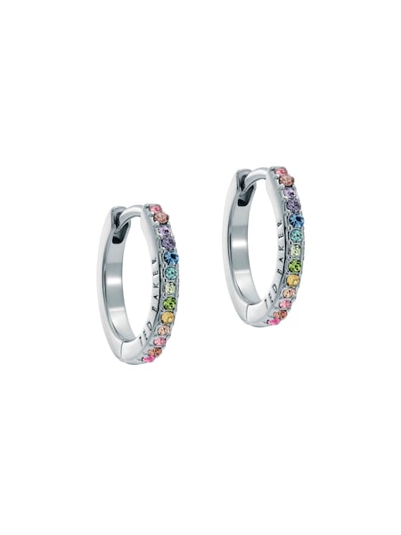 Hopea Multi - Ted Baker Heplie: Crystal Hoop -korvakorut (E76514) | €47