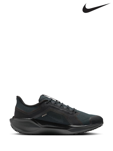 Nike Black Pegasus 41 GORE-TEX Trail Running Trainers (E79073) | €208
