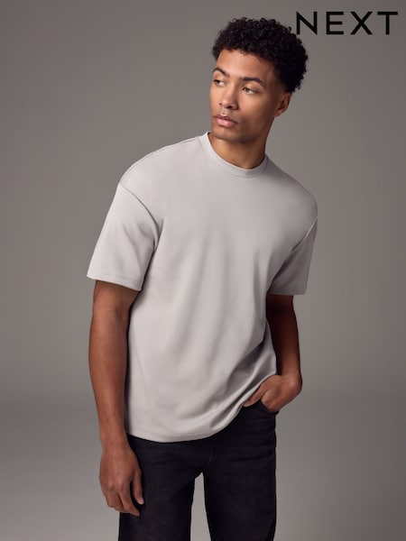 Ice Grey Relaxed Fit Heavyweight T-Shirt (E86459) | €17