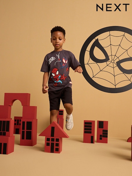 Charcoal Grey Spider-Man Short Sleeve 100% Cotton T-Shirt (3mths-8yrs) (E87445) | € 15 - € 18