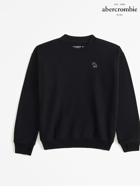 Abercrombie & Fitch Crew Neck Black Sweatshirt (E89098) | € 27 - € 28