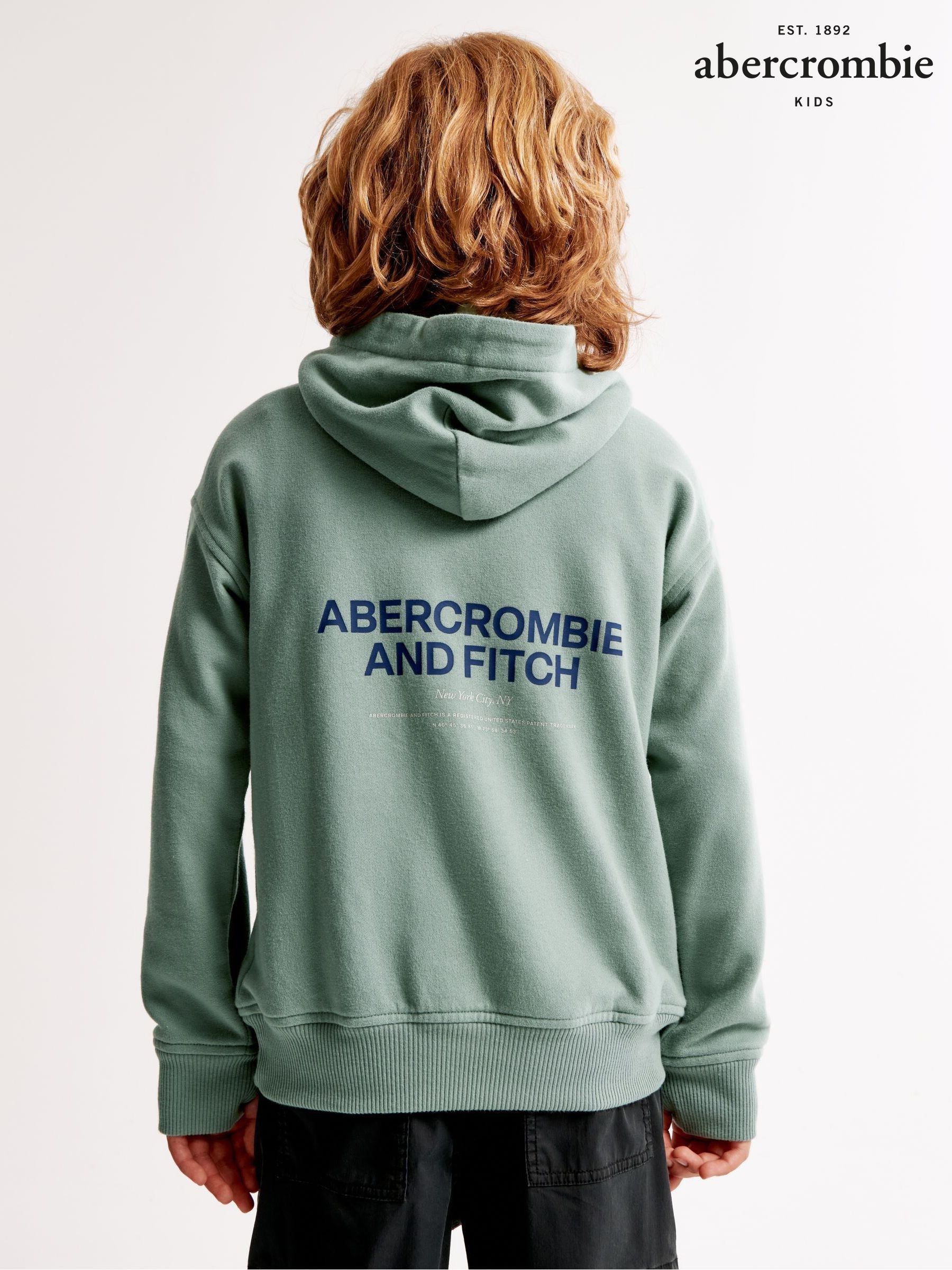 Hoodies Abercrombie Fitch Casual Long Sleeve Boysclothing Next Ukraine