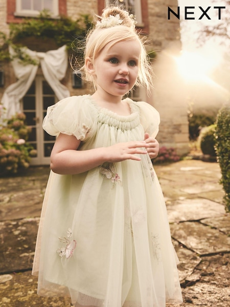 Soft Green Butterfly Mesh Dress (3mths-8yrs) (E89854) | 114 QAR - 144 QAR