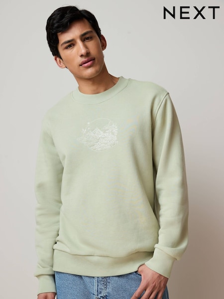 Зелений відтінку шавлії - Cotton Rich круглий виріз Graphic світшот (E98265) | 1 262 грн