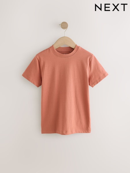Rust Regular Fit Short Sleeve T-Shirt (3-16yrs) (E99170) | €5 - €10