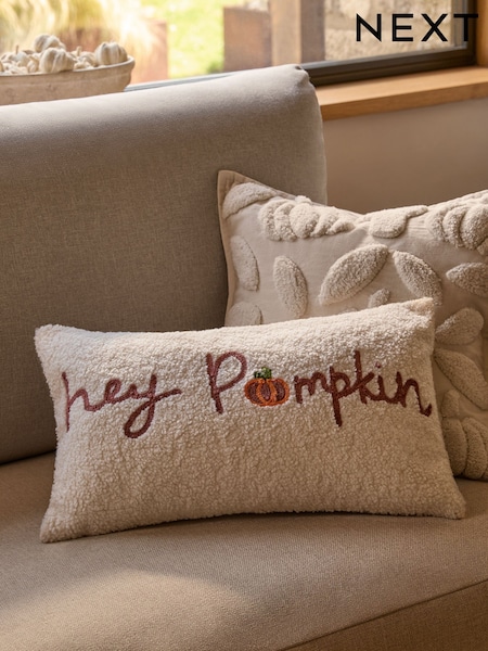 Natural Embroidered Hey Pumpkin Borg Slogan Cushion (F00422) | €24
